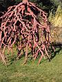 Sculptures 033